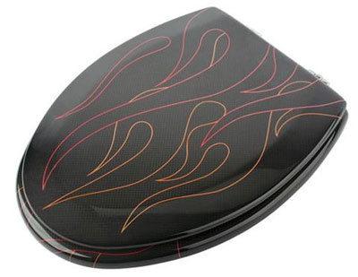 Carbon fiber toilet seat cover with pinstripe flames