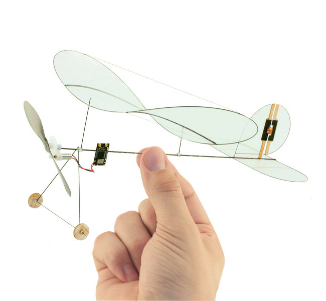 Carbon butterfly RC plane