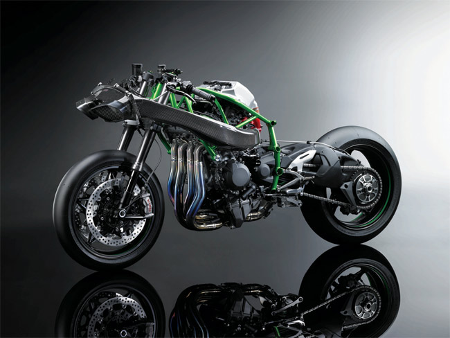 Ninja H2 Naked Sideview