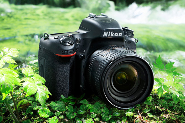 he D750 surrounded by grass