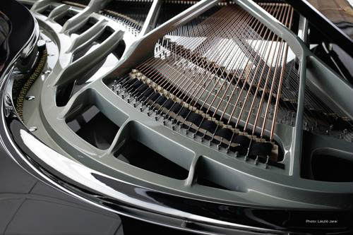 carbon fiber piano