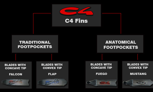 C4 Fins graph